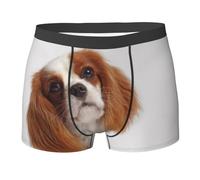 Poadnly Cavalier King Charles Spaniel,Novelty Underwear Men's Boxer Briefs Soft Polyester Underpants,L