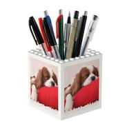 Poadnly Cavalier King Charles Spaniel Pattern, Pen Pot Pencil Holder for Office Home School, Compact Desk Organiser for Office Stationery