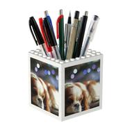 Poadnly Cavalier King Charles Spaniel Small Spaniel, Pen Pot Pencil Holder for Office Home School, Compact Desk Organiser for Office Stationery