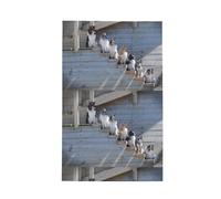 Poadnly Dogs Border Collie Shetland SheepDogs Alaskan,Waffle Tea Towels Kitchen Drying Dish Towels Absorbent Dish Cloth 41 x 66 cm