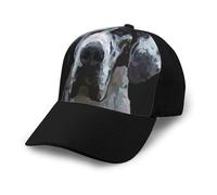 Poadnly Great Dane Dog Art,Adjustable Baseball Cap Classic Dad Hats Trucker Hats for Unisex