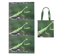 Poadnly Green Praying-Mantis, 2 in 1 Packable Towel Bag, Beach Towels with Tote Bag for Travel Holiday Camping