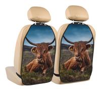 Poadnly Highland Cow Grass,2 Pack Car Seat Kick Mats Back Seat Protector Durable Back Seat Organiser