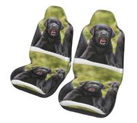 Poadnly Labrador Retriever Dog Print,Car Seat Cover Front Seat Covers/Protectors For Car 2pcs