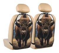 Poadnly North American Bison,2 Pack Car Seat Kick Mats Back Seat Protector Durable Back Seat Organiser