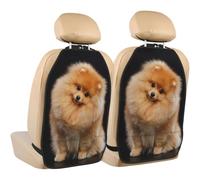 Poadnly Pomeranian Dog Puppy Cute,2 Pack Car Seat Kick Mats Back Seat Protector Durable Back Seat Organiser