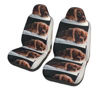 Poadnly Ruby Cavalier King Charles Spaniel Puppy Dog,Car Seat Cover Front Seat Covers/Protectors For Car 2pcs