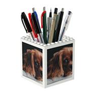Poadnly Ruby Cavalier King Charles Spaniel Puppy Dog, Pen Pot Pencil Holder for Office Home School, Compact Desk Organiser for Office Stationery