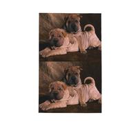 Poadnly Shar Pei Dog,Waffle Tea Towels Kitchen Drying Dish Towels Absorbent Dish Cloth 41 x 66 cm