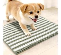 pobopobo Dog Door Mat for Muddy Paws - Absorbent & Washable Chenille Rug, Non-Slip Dirt Trapper for Indoor Outdoor Entryway, Quick Dry Pet Mat for Muddy Dogs (Striped Green&White, 24" x 16")