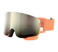 POC - Nexal S2 (VLT 29%) - Ski goggles multi