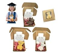 Pocket Bear Hug in a Box,Little Pocket B ear Hug,Mini Plush Be ar in Box,Handmand Emotional Support Crochet Be ar Toys with Positive Cards,Mini Worry Bears with Inspirational Card
