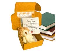 Pocket Bear Hug In A Box - Little Pocket Hug Bear Stuffed Doll | Cute Handmade Little Stuffed Animal In A Box with Inspirational Card for Graduation, Birthday, Christmas (White)