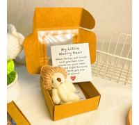 Pocket Bear Hug in a Box, Pocket Worry Bear Plush Toy, Handmade Cute Min-i Plush Bears Doll with Inspirational Card, Positive Emotionals Supports Stuffed Animals Little Bears Plushs Toy