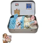 Pocket Bunnies In A Tin Box, Gifts For Kids Easter, Bunny Toys Hug In A Box Easter, Mini Plush Bunny House Diy Pet Easter Baskets(A-02)