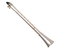 Pocket Clarinet Sax Mini Portable Clarinet- Saxophone Little Saxophone bE/bB/C/D/E/F Key With Carrying Bag Woodwind Instrument (Color : BE Key)