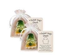 Pocket Comfort Ghosts: A Hug in Your Pocket, Halloween Mini Cute Little Pocket Ghost Token with Emotional Support Inspirational Card, Halloween Decor Thoughtful Back to School Gifts (B*2)