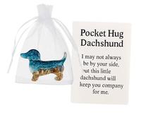 Pocket Hug Dachshund Handmade Shell Pocket Hug Handmade Acrylic Pocket Hug Ornaments Mini Animal Pocket Hug Token with Inspirational Card for Friend Family Pet Lovers (1Pcs Dachshund)