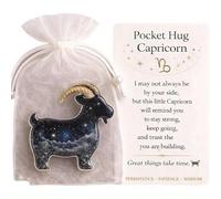 Pocket Hug Guardians, Constellation Shape Pockets Hugs Gifts, Resin Constellation Positive Pocket Hug Token Emotional Gift with Inspirational Card Back to School Gifts for Friend Family Student