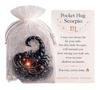 Pocket Hug Guardians, Constellation Shape Pockets Hugs Gifts, Resin Constellation Positive Pocket Hug Token Emotional Gift with Inspirational Card Back to School Gifts for Friend Family Student
