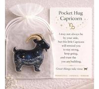 Pocket Hug Guardians, Constellation Shape Pockets Hugs Gifts, Resin Constellation Positive Pocket Hug Token Emotional Gift with Inspirational Card Back to School Gifts for Colleagues Friend Teacher