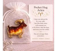 Pocket Hug Guardians, Constellation Shape Pockets Hugs Gifts, Resin Constellation Positive Pocket Hug Token Emotional Gift with Inspirational Card Back to School Gifts for Colleagues Friend Teacher