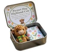 Pocket Hug Highland Cow Gift Set - A Little Hug You Can Carry Anywhere, Mini Cow in Tin Box, Emotional Support Highland Cows, Anxiety Relief Gift for Friends & Family (BB)