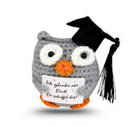 Pocket Hug Owl - Graduation Gift Doll, Handmade Lucky Owl with Motivational Card | Cute Lucky Charm for Birthday, Exam & Get Well | Positive Gift for Family and Friends