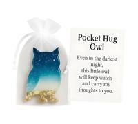 Pocket Hug Owl, Mini Owl Animal Hug Token with Card, Inspirational Resin Pocket Hug Token Keepsake, Cute Pocket Animal Pocket Hug Thoughtful Gift for Pet Lovers and Dog Enthusiasts (#12)