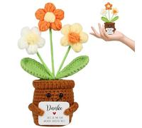 Pocket Hug Positive Flower, Positive Plushies Flowers, Positive Crochet Flowers, Positive Crochet Potted Plant, for Friends, Colleagues, Family and Yourself