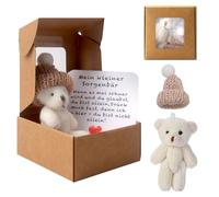 Pocket Hug Positive Mini Teddy Bear, Bear in a Box, Mini Plush Figures, Funny Teddy Bear Doll, Worry Bear Hug in a Box, Small Animal with Inspirational Card for Women