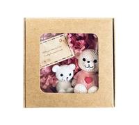 Pocket Teedy Bear Mini Bear Box, Pocket Bear with Sentimental Cards, Sympathy Gift, Suitable for Graduation Day Gift, Positive Gifts for Women and Children, Positive Gift