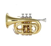 Pocket Trumpet Bb Flat Brass Wind Instrument With Mouthpiece Accessories Carrying Case