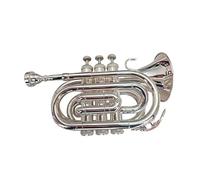 Pocket Trumpet Palm Size Pocket Size Trumpet Bb Tone Gold Trumpet Size Palm Size (Color : Silver)
