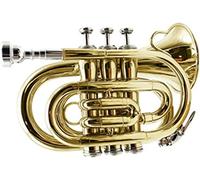 Pocket Trumpet, Professional mini trumpet B-flat Lacquer Gold Palm Trumpet Miniature Pocket Trumpet Beginner Student Trumpet Instrument(1)