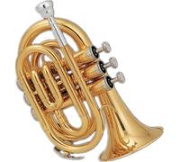 Pocket Trumpet, Professional mini trumpet Excellent Gold Lacquer Brass Body Tone Bb Pocket Trumpet Brass Instrument Suitable For Beginners