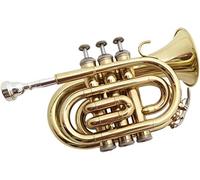 Pocket Trumpet, Professional mini trumpet Golden Palm Trumpet Pocket Trumpet Instrument B-flat Beginner Grade Test Band Playing