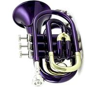 Pocket Trumpet, Professional mini trumpet Professional Pocket Trumpet Flat B Bb Tone Brass Wind Instrument With Mouthpiece Gloves Case(2)