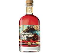 Pocketful Of Stones Ansom Damson Gin, Cornish Flavoured Gin, 70cl, 25% ABV | Damson Fruit, Orange Cinnamon Nutmeg, Sweet Spiced Gin, Handcrafted Small Batch, Gin Gift, Lemonade, Soda, Neat Or Champagne