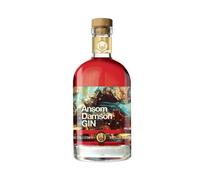 Pocketful of Stones Distillers Ansom Damson Gin 70 in