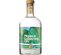 Pocketful Of Stones Pilgrim & Galaxy Hop Gin - Adventurous Citrus Flavoured Cornish Gin, Handcrafted Small Batch Botanical Gin with Crisp, Floral Notes. 40% ABV, 70cl