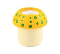 Pocoiau Educational Children ' s Science Experiment Toy Class Prizes Christmas Stock Stuffers Bag Fillers for Kids in Bulk