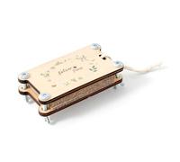 Pocoiau Natural Wooden Plant Pressing Pad for Kids Friendly Craft Tool with Safe Materials Children Botanics Collector Flower Press Craft Project