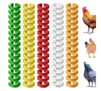 Pocoiau Pack of 100 Poultry Leg Bands with Text in 5 Colors for Easy Identification and Farm Management Numbered Bird Leg Bands