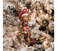 PODbyyou Vizsla Dog Lanterns Christmas Antlers Christmas Hanging Ornament Vizsla Christmas Decorations for Tree Dog Memorial Xmas Keepsake Acrylic Xmas Tree Decoration 4in