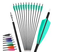 Poearcus 28/30/31 Inch Carbon Arrow 500 Spine Archery Hunting Arrows with 4 inch Turkey Feathers fit for Compound/Recurve Bow/Longbow Target Shooting Practice Arrows 12pcs (Blue, 31 inch)