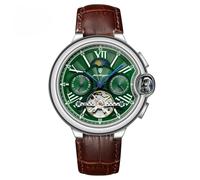 Poedagar Fashion Automatic Mechanical Man Watch Date Week Waterproof Men Watch Tourbillon Stainless Steel Band Leather Band Business Men's Watches, Silver Green L