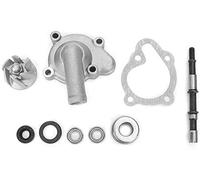 POEFT Water Pump Kit Impeller Seal Bearing Fit Compatible with 250cc CN250 CH250 CF250 Scooter ATV