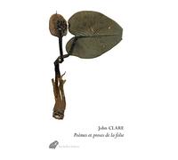 Poemes Et Proses de la Folie: Suivi de La psychose de John Clare