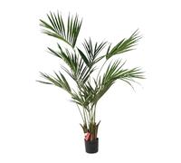 Poenia Arte Floral - Artificial Kentia Palm Tree 180 cm - Ref 631351 - Realistic - Decorative Tropical Plant - Ideal for Home, Office or Indoor Spaces - Maintenance Free